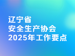 辽宁省安全生产协会2025年工作要点